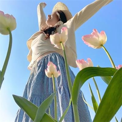 全速返航封面